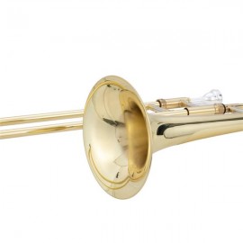 Eb Alto Trombone Brass Body with 12C Mouthpiece Golden